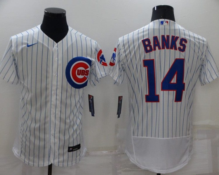Men's Chicago Cubs Ernie Banks #14 White Baseball Jersey