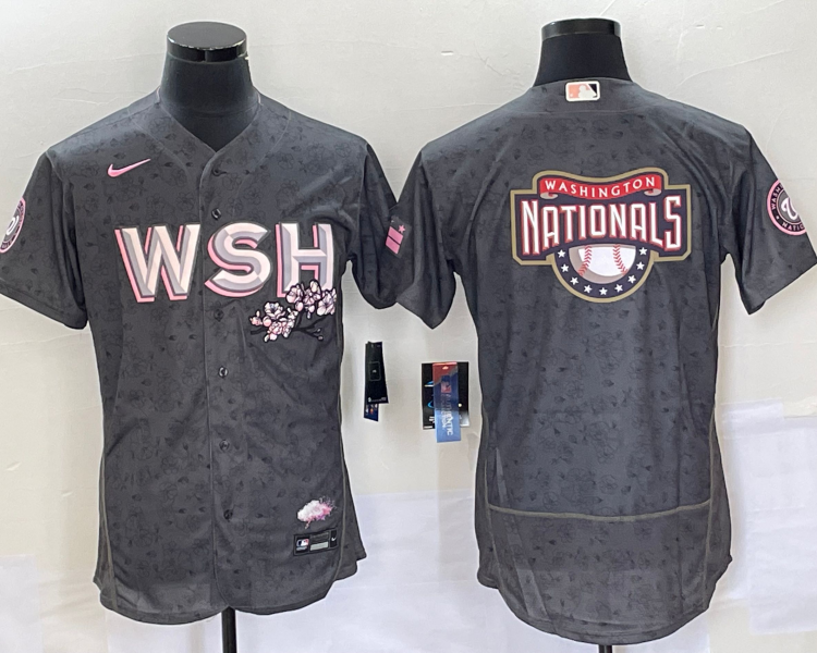 Men's Washington Nationals Gray City Connect Team Jersey