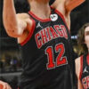 Mens Chicago Bulls #12 Zach Collins Black Statement Edition Swingman Jersey