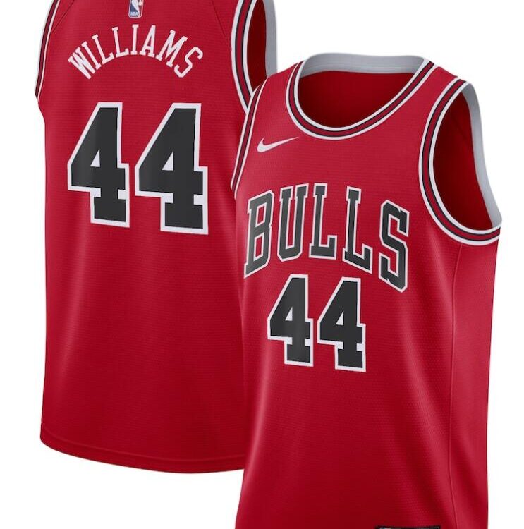 Mens Chicago Bulls #44 Patrick Williams Red Nike Icon Swingman Jersey