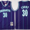 Men's Charlotte Hornets #30 Dell Curry 1992-93 Purple Hardwood Classics Soul Swingman Throwback Jersey