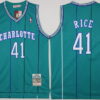 Men's Charlotte Hornets #41 Glen Rice Green Hardwood Classics Soul Swingman Throwback Jersey