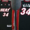 Mens Miami Heat #34 Ray Allen Jersey  Revolution 30 Swingman Black