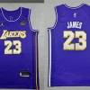 Mens Los Angeles Lakers #23 LeBron James 2025-26 Purple Statement Edition Jersey