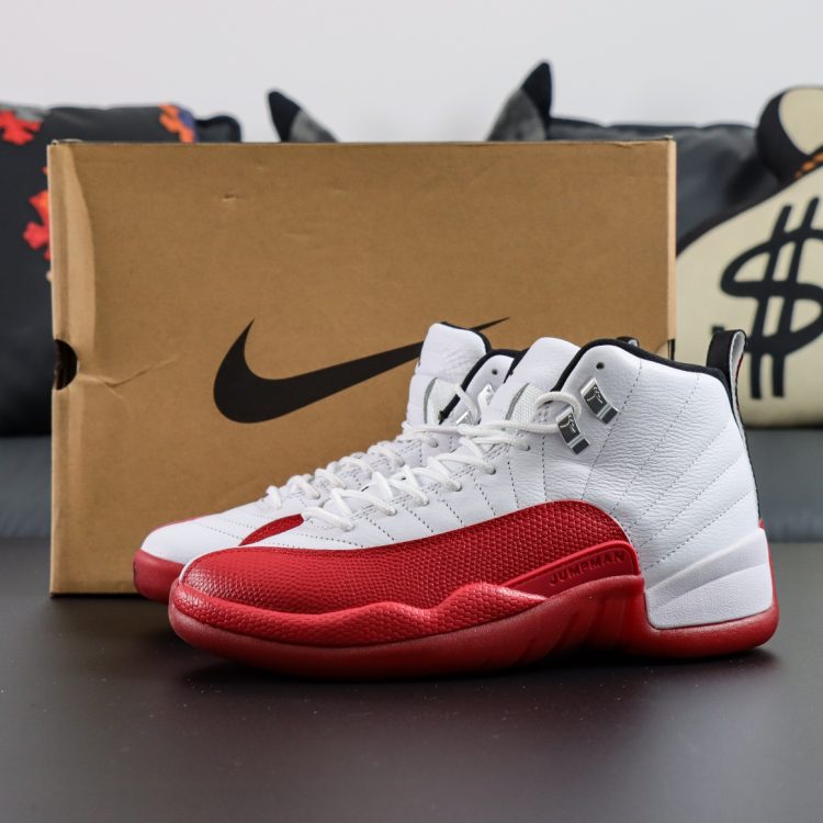 Mens AIR JORDAN 12 CT8013-116