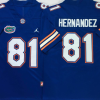 Florida Gators Blue #81 HERNANDEZ Stitched Jersey